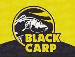 black_carp_logo